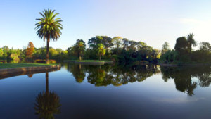 Royal Botanic gardens