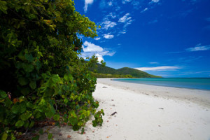 Cape-Tribulation-with-traveller-hints