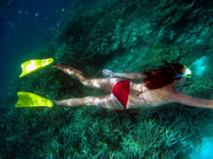 Great Barrier Reef