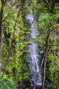 Great Otway National Park