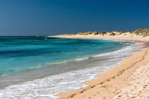 Ningaloo Reef Dive