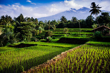 Rinjani spring-fed streams