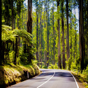 yarra valley 