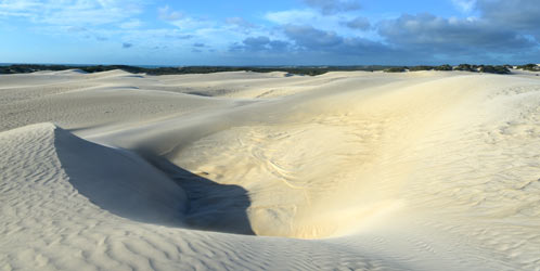 Green-Head-white-Sands