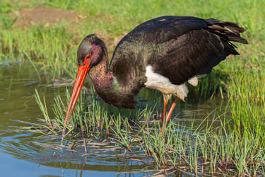 Kumana National Park