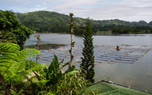 Lake-Sebu