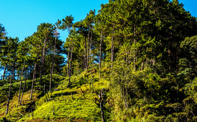 Mines View Park