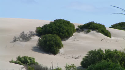 Margaret River