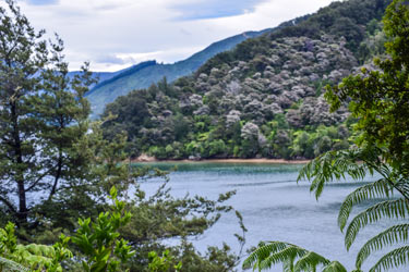 KAHURANGI NATIONAL PARK