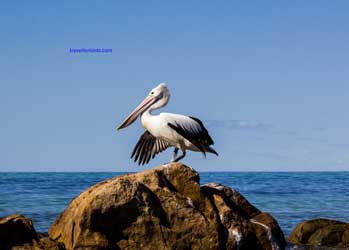 Dunsborough