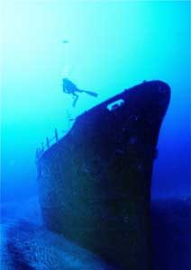 Diving-La Reunion 