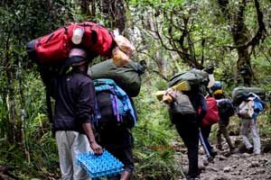 Mount Kilimanjaro