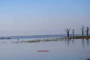 Lake Natron in Arusha 