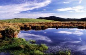 Horton Plains national Park 