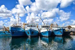 Fremantle Fishing Boat Harbour