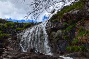 Lesmurdie falls