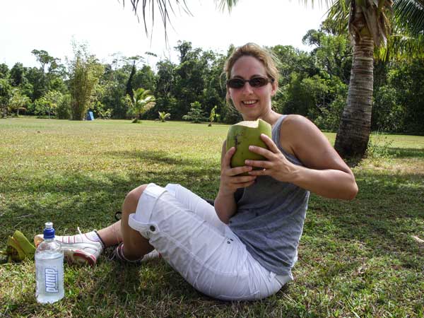 Young Green Coconuts